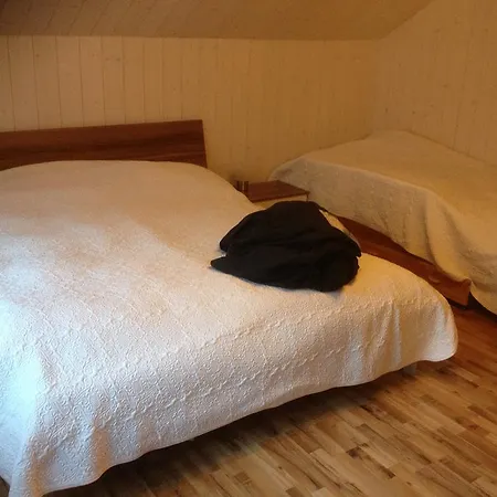 Chalet Schoenbuehl *